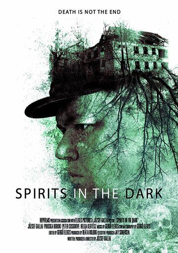 Spirits in the Dark (2019)
